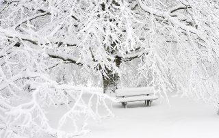 Quelle: https://pixabay.com/en/snow-mount-mountain-panoramic-1711697/ | Fotograf: MONTXODONOSTIA