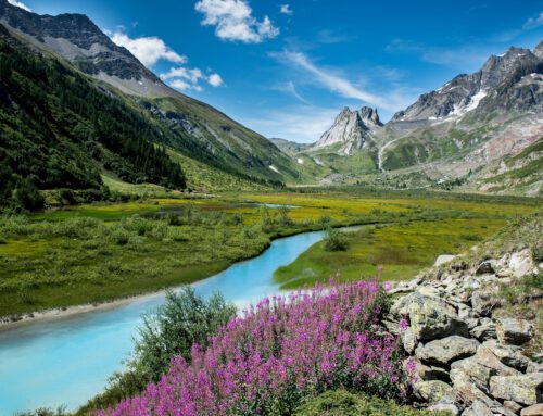 Musikzug präsentiert „Klang der Alpen“